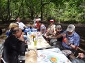 2014-06-05 13-40-33 Foret de Fontainebleau DLe